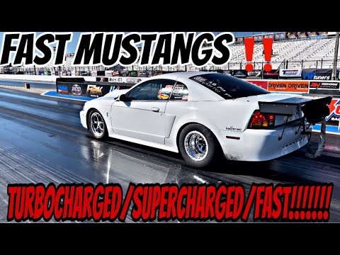 BOOSTED MUSTANGS DOMINATING