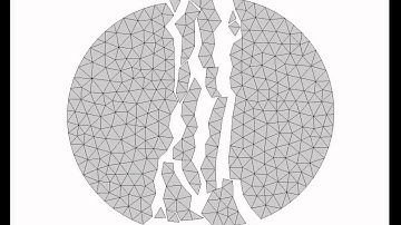 Crack propagation in Brazilian Tensile Test using ELFEN 4.4.2