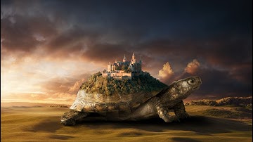 Photoshop Manipulation Tutorial For beginner (turtle land)