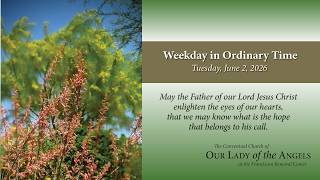 Tuesday, June 2, 2026 (8:00am) - Weekday Mass in Ordinary Time
