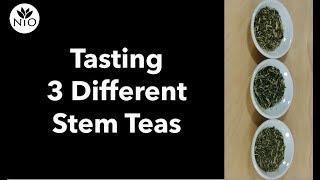 Celebrity Comparing 3 Stem Teas From Different Regions Net Worth