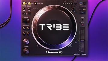 Tribe XR : DJ in VR