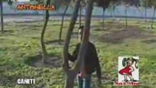 Versión 1 del video