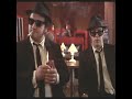 Cats Will Rule the World! #bluesbrothers #movieedits #cat #funny #cute