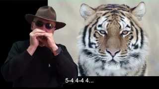 nº153 Eye of the Tiger ( Rocky ) tabl. armonica  Eb diatonica Mundharmonika chords