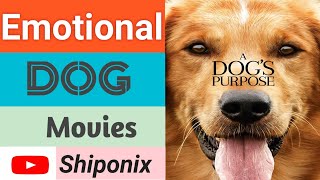 Story Of Dog Emotional Dog Movies