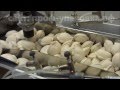 Автоматическая фасовка пельменей замороженных фасовочно упаковочной линией У03 сер. 055 (исп.12)