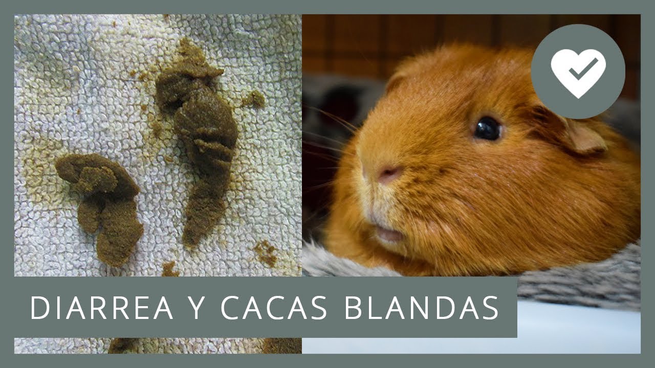 Diarrea liquida perdida de peso