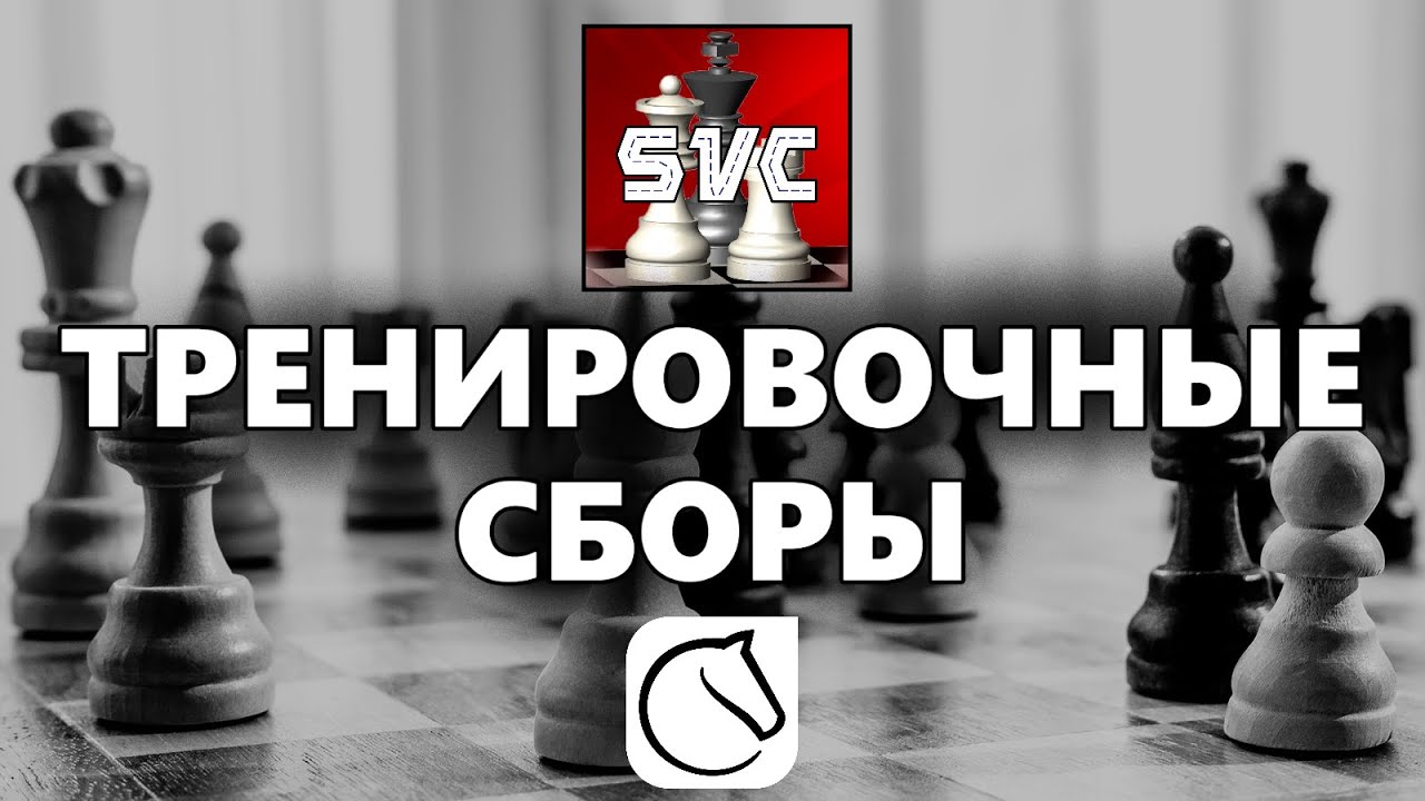 🎯 ТРЕНИРОВОЧНЫЕ СБОРЫ - ПОДГОТОВКА К СТРИМЕРС БАТТЛ! МАРАФОН ТУРНИРОВ ...