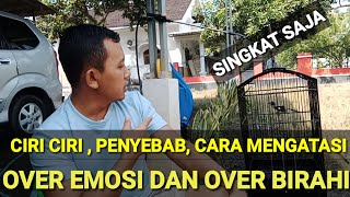 Download lagu Over-lustful and over-emotional long-tailed shrikes, causes and treatment,,,
