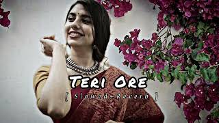 Teri Ore | Slowed And Reverb | DD4LOFI | Lofi Music