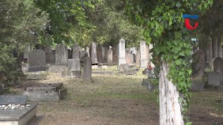 220606 Tallózó