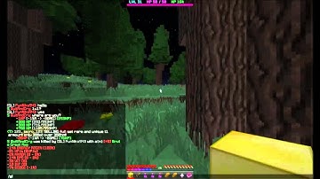 Dungeon Realms - Another Hacker :/