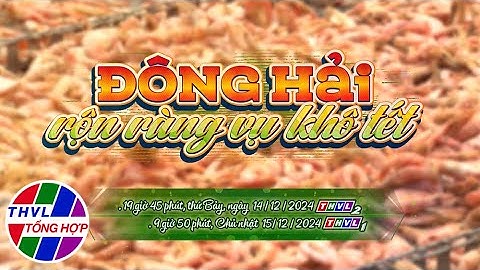 Nhịp sống đồng bằng: Đông Hải rộn ràng vụ khô tết | Trailer