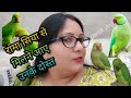 मेरे रामा सिया के दोस्त आए हैं उनसे मिलने | baby parrot vlog | parrot vlog | Rama Siya vlog |