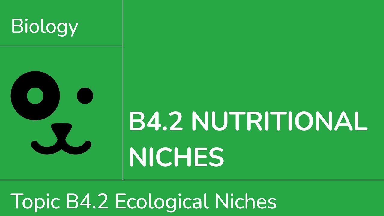 B4.2 Nutritional Niches [IB Biology SL/HL]