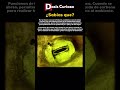 Así es como las plantas comen oxígeno #biologia #plantas