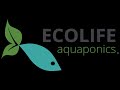 Ecolife aquaponics program tour