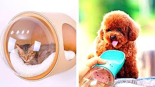 SMART Pet Gadgets Your Animal Will LOVE Part 1