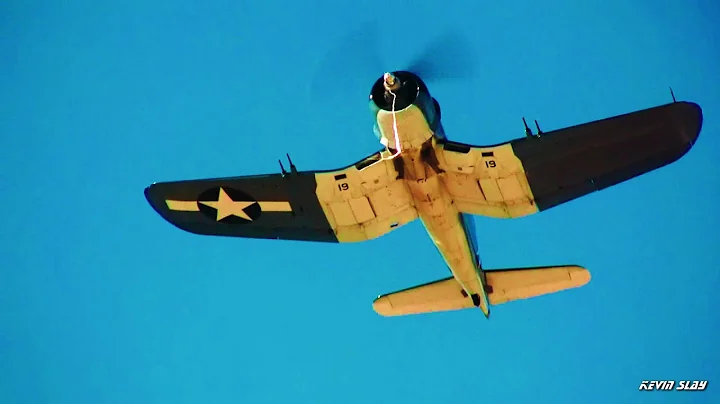 The Bent-Wing Bird Flyover