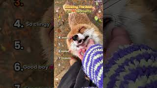 Ranking The Best Fox Moments