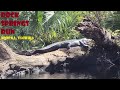 Gator boys kayaking rock springs run state reserve via kings landing