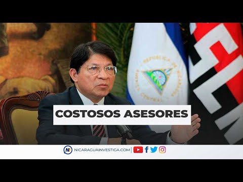 🔵▶ Los COSTOSOS ASESORES del CANCILLER