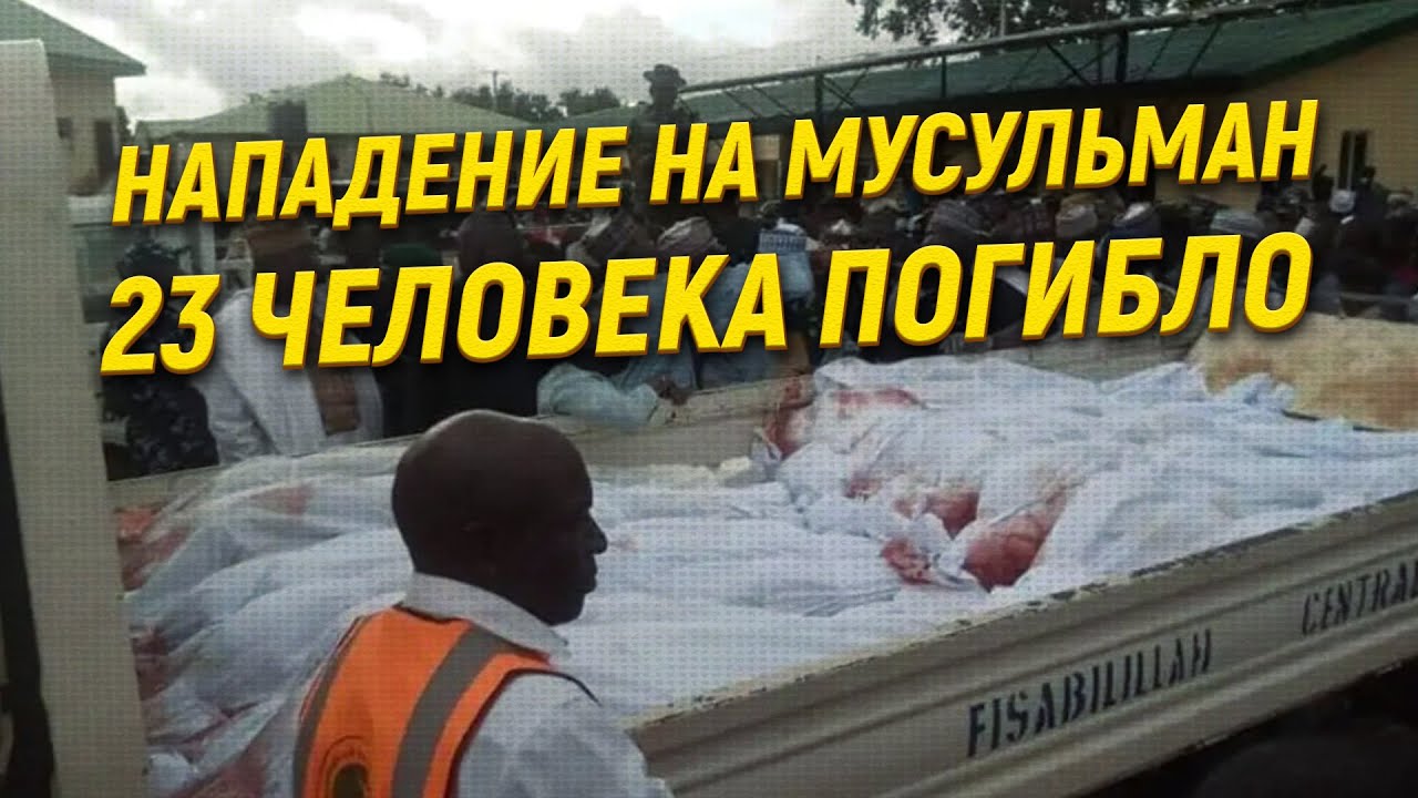 Нападение сома на волге