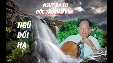 NSUT Ba Tu Độc Tấu Đàn Kìm Bài Ngũ Đối Hạ