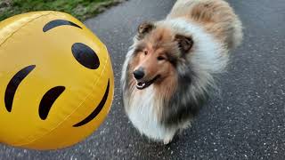 Late Middagwandeling Bij Stroombroek, 11-03-2021