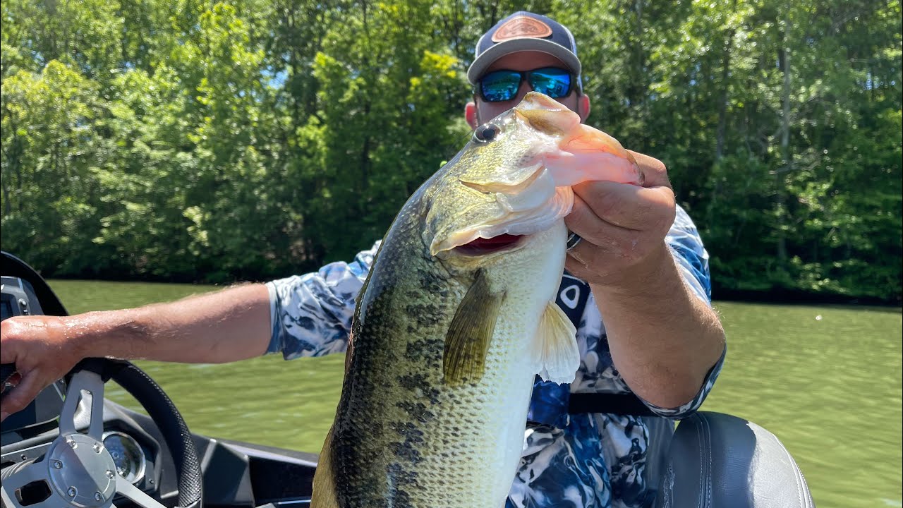 Lake Chickamauga Big Bass Tour 2021