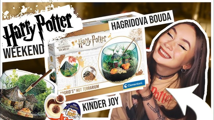 Terrarium - harry potter en 2023  Harry potter trucs, Platre de paris,  Style de harry potter