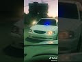 فيرنا الجزائر
