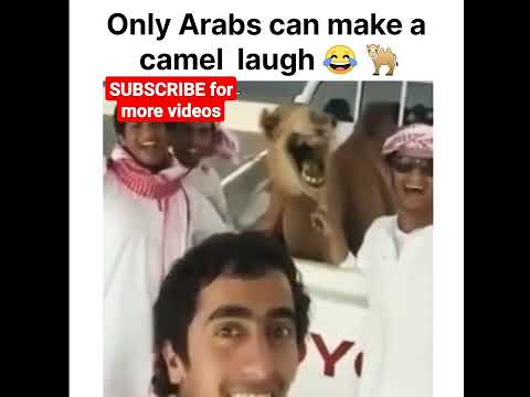#subscribe now for more videos. #arabs #memes #funny #entertainment #arabmemes #whatsappstatus #arab