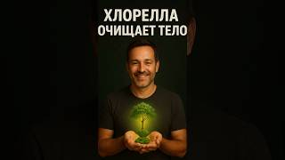 Почему я пью хлореллу каждый день 🌿 | Самая мощная очистка организма  #долголетие #иммунитет