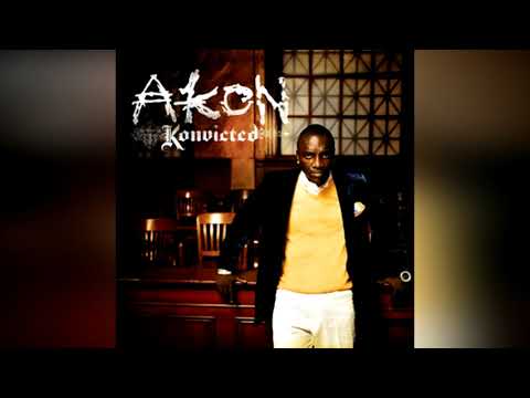 Download Never Took The Time - Akon