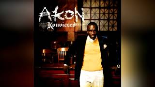 Never Took The Time - Akon