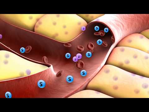 Video: Insulin: Hormonfunktioner, Typer, Norm