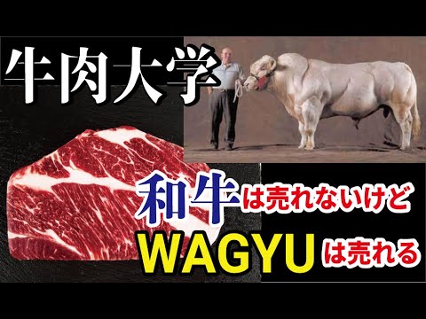 黒毛和牛は海外で売れない！？和牛とWAGYUの違いって何？「牛肉の国別評価基準」について学ぶ