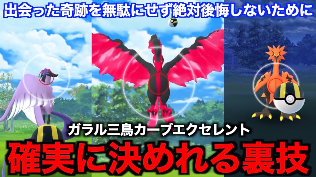 ガラル三鳥が出現した時に確実にエクセレントを出せる方法が存在していました【ポケモンGO】