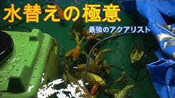 G4orm04whwj4pm G4orm04whwj4pm