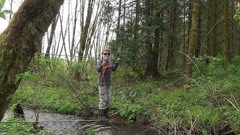 The Postmans Bridge (Two Rope Bridge)