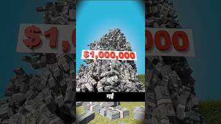 He Sold His Mansion With Raffle Tickets 😲#shorts #viral