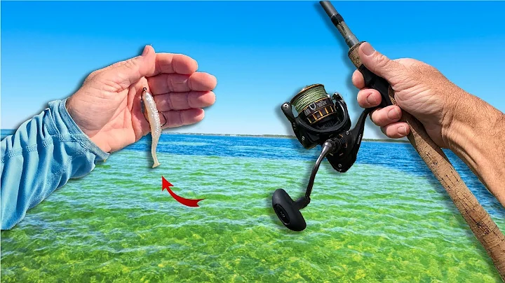 Inshore Fishing With A FREE Lure When I Caught This!