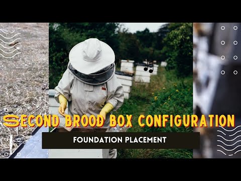 Second Brood Box