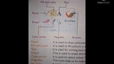 Computer#Class-4#Chapter-5:Fun with Paint