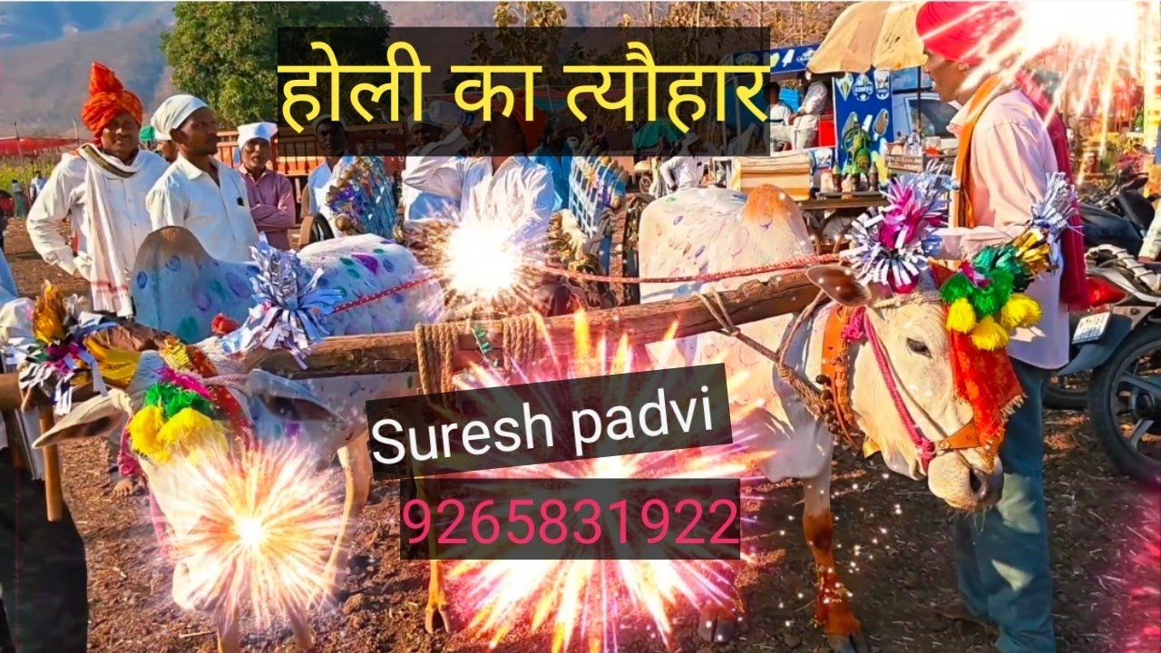 Holi ka tyohar aadivasi 🥰👈