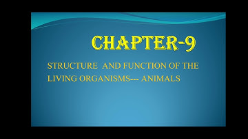 Class6#Science#Structure and function of living organisms--animals (Part-3)