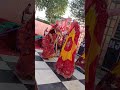 Rajasthani dance trending marwadi royal 