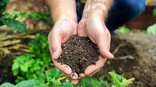 Beginner's Guide to Bokashi Composting // What to Expect Start to Finish